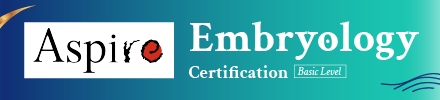 Basic Level Certification