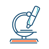 Embryology icon