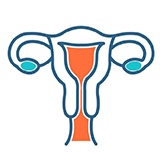 Endometrium and Implantation icon