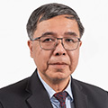 Professor Nares Sukcharoen